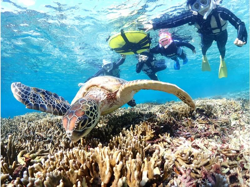 宮古島マリンショップSmiley のギャラリー