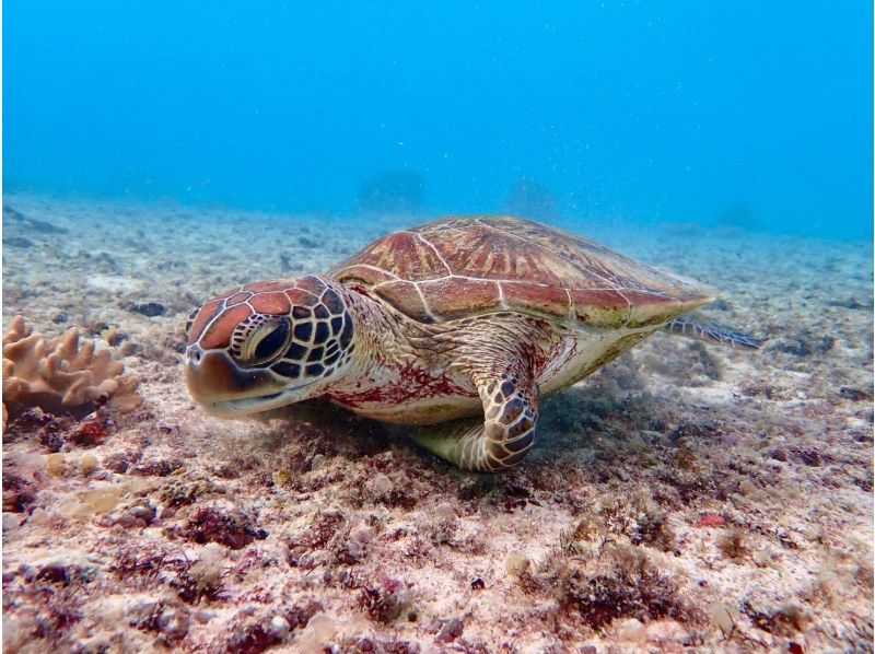 マリンジェットガイド 海惚 のギャラリー