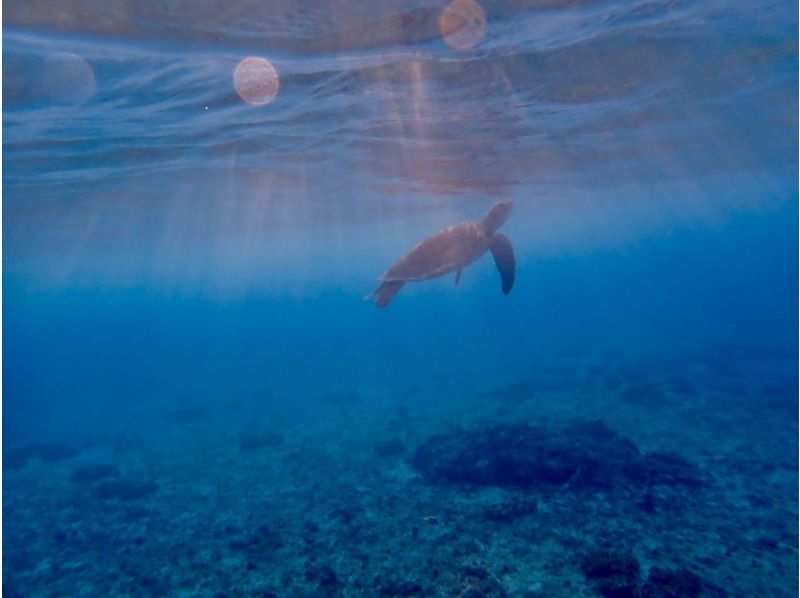 マリンジェットガイド 海惚 のギャラリー