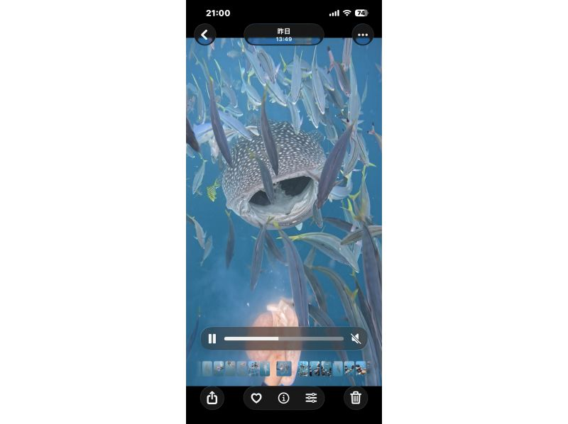 Simple marine service(シンプルマリンサービス) のギャラリー