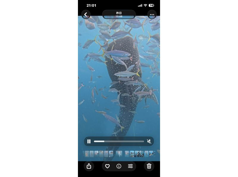 Simple marine service(シンプルマリンサービス) のギャラリー