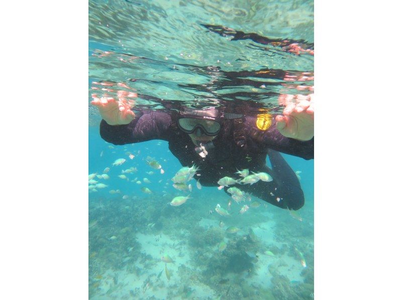 Okinawan sup のギャラリー