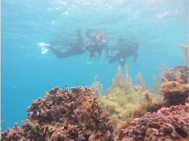 Okinawan sup のギャラリー