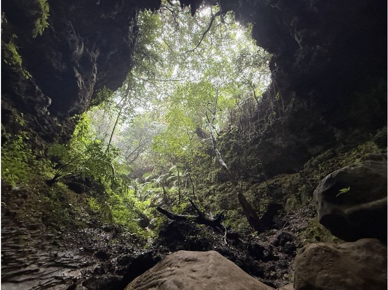 西表島コモレビトリップ のギャラリー