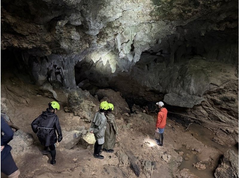 西表島コモレビトリップ のギャラリー