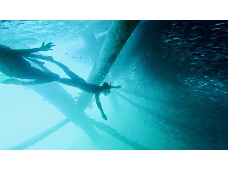 沖縄マリンサービスTI.OCEAN のギャラリー