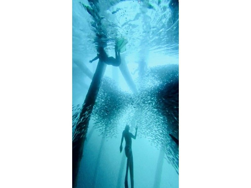 沖縄マリンサービスTI.OCEAN のギャラリー