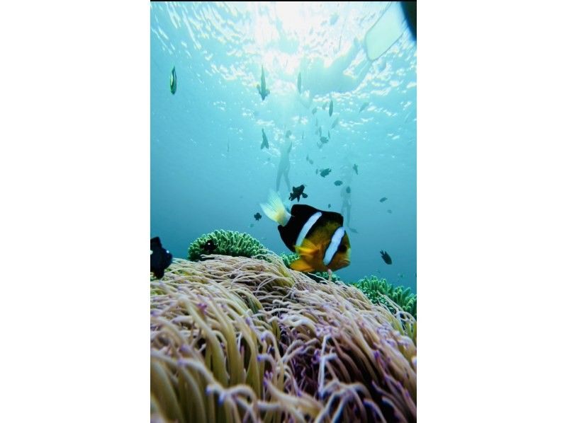 沖縄マリンサービスTI.OCEAN のギャラリー