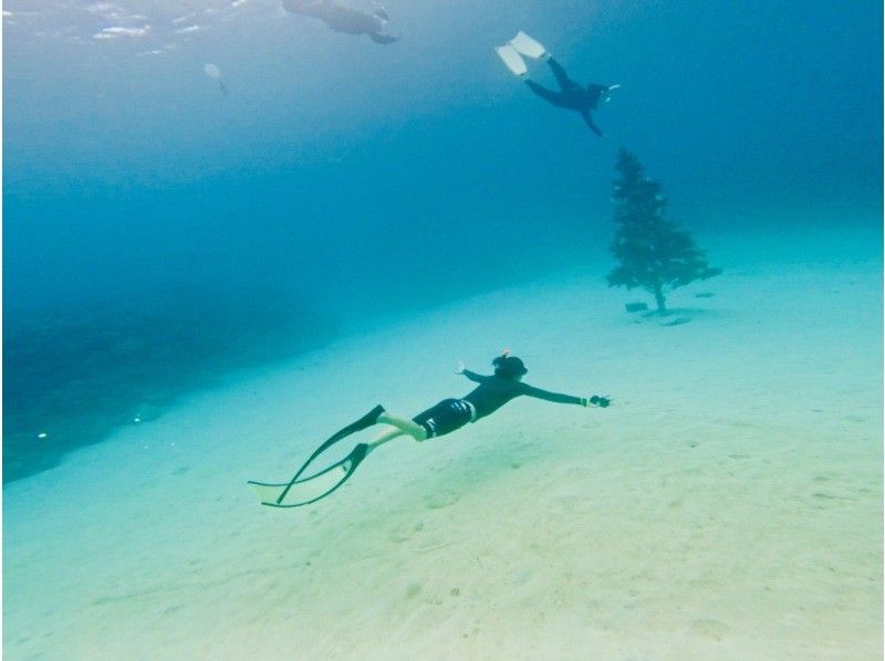 沖縄マリンサービスTI.OCEAN のギャラリー