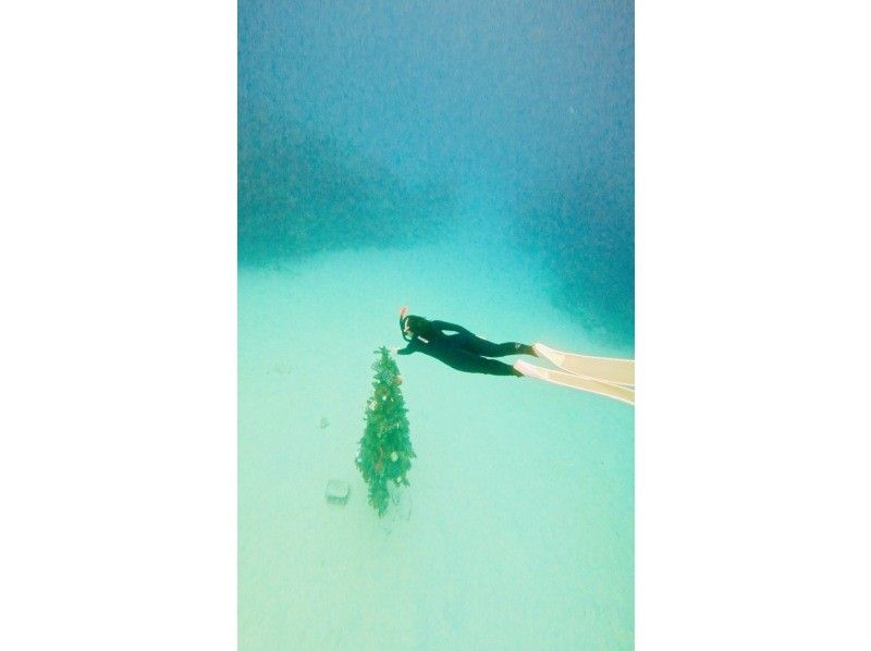 沖縄マリンサービスTI.OCEAN のギャラリー