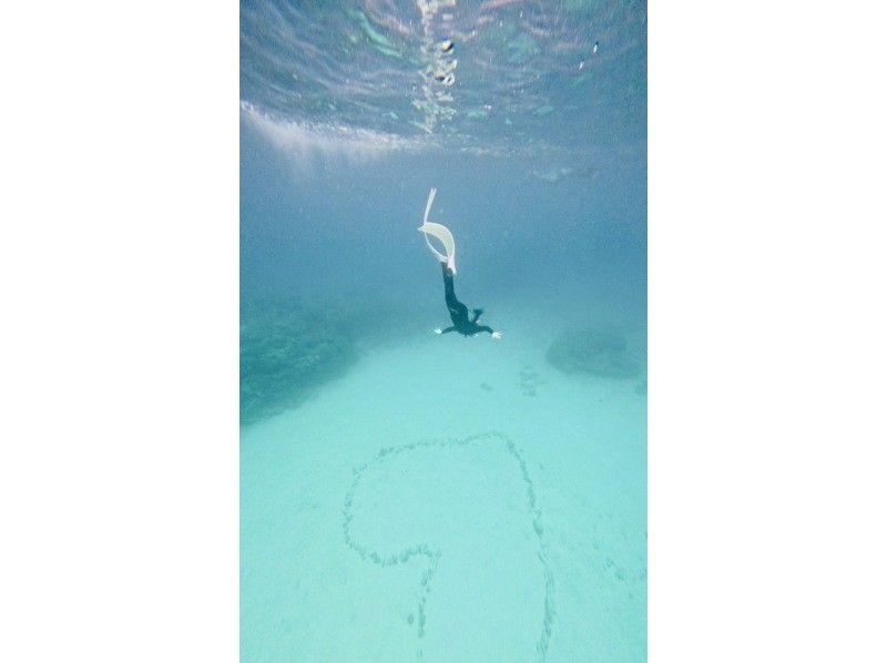 沖縄マリンサービスTI.OCEAN のギャラリー