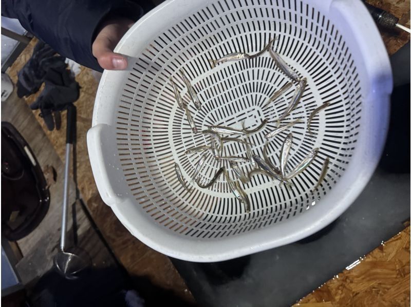 サイクリングフロンティア北海道/フロンティアフィッシングツアーズ（株式会社サイクリングフロンティア） のギャラリー