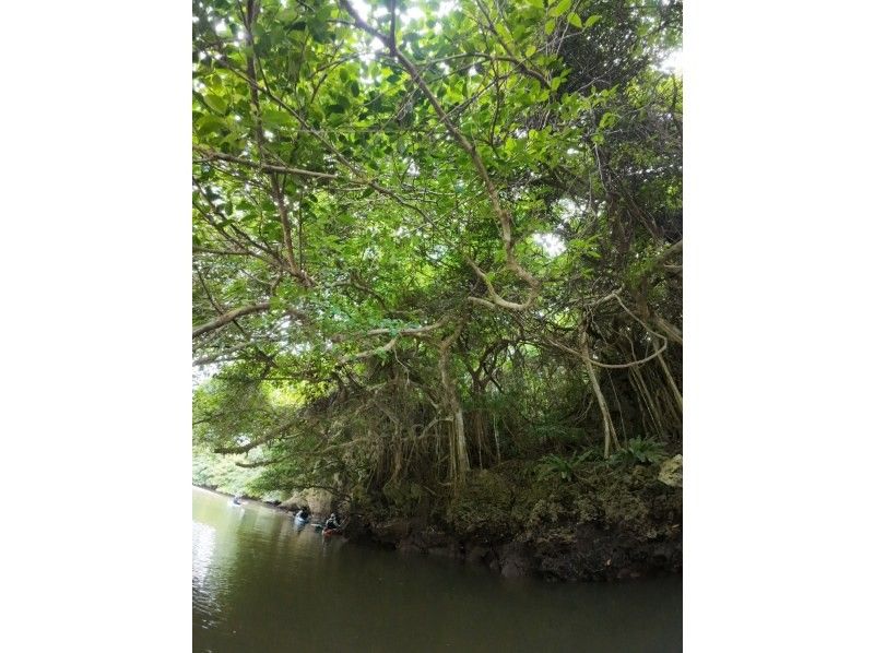 石垣島  ADVENTURE PiPi（ピピ） のギャラリー