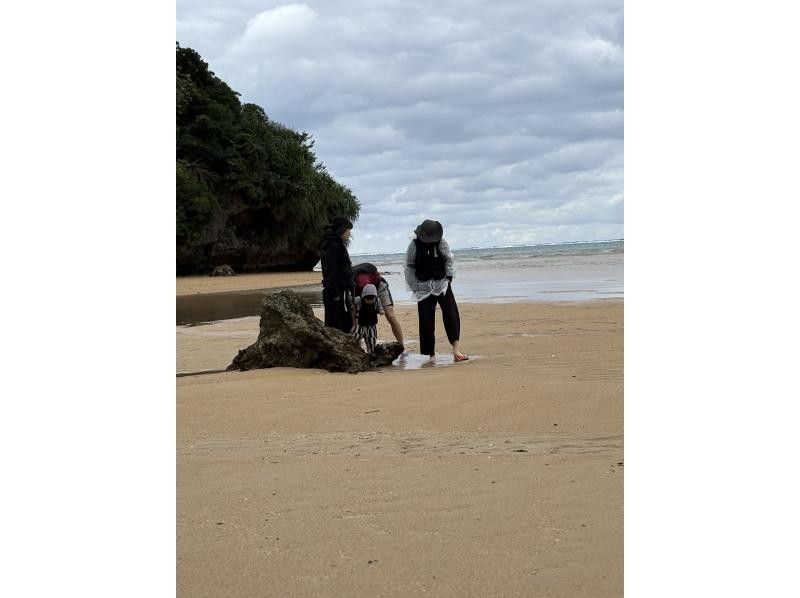 石垣島グランピングリゾートStarOcean のギャラリー