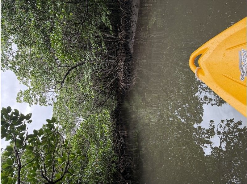 石垣島グランピングリゾートStarOcean のギャラリー