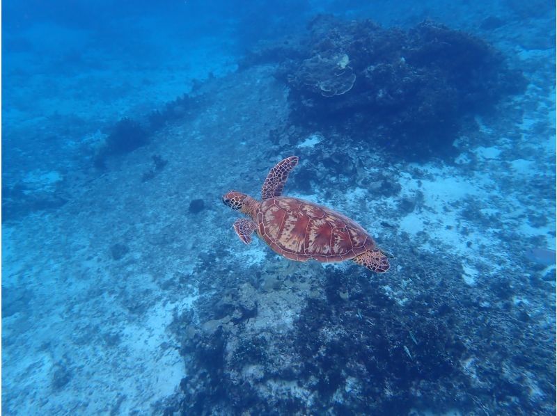 マリンジェットガイド 海惚 のギャラリー