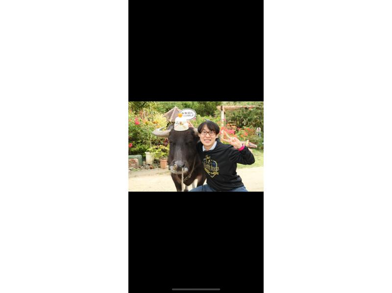 西表島 ADVENTURE PiPi（ピピ） のギャラリー