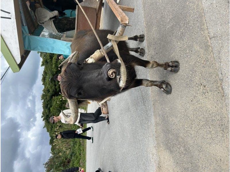 西表島 ADVENTURE PiPi（ピピ） のギャラリー