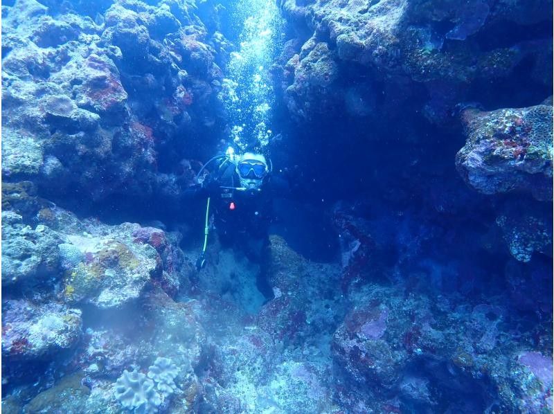 AQUA COLOR'S(アクアカラーズ) のギャラリー