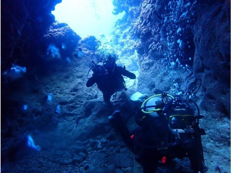 AQUA COLOR'S(アクアカラーズ) のギャラリー