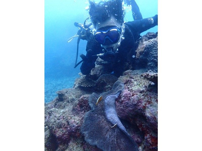 AQUA COLOR'S(アクアカラーズ) のギャラリー