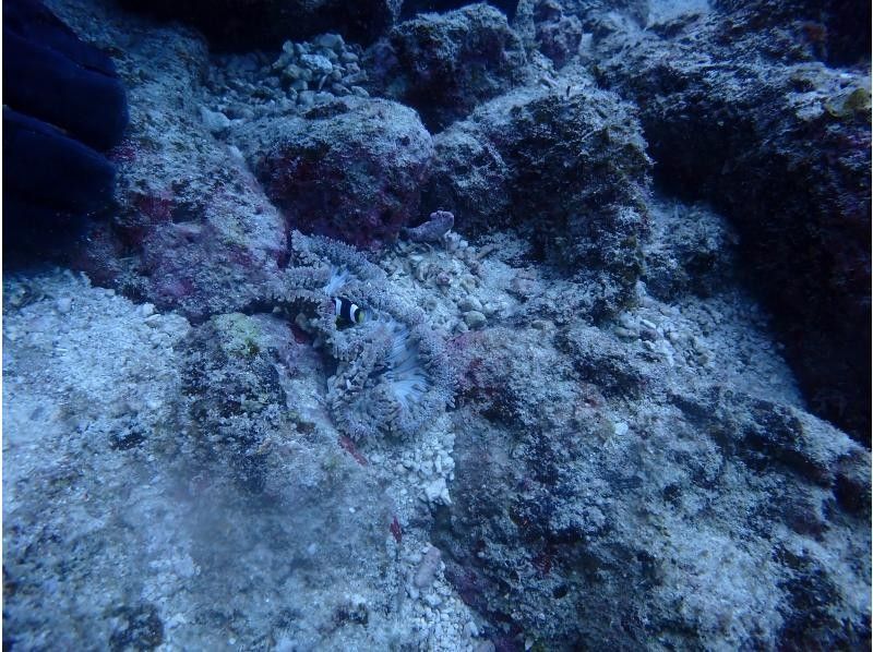 AQUA COLOR'S(アクアカラーズ) のギャラリー