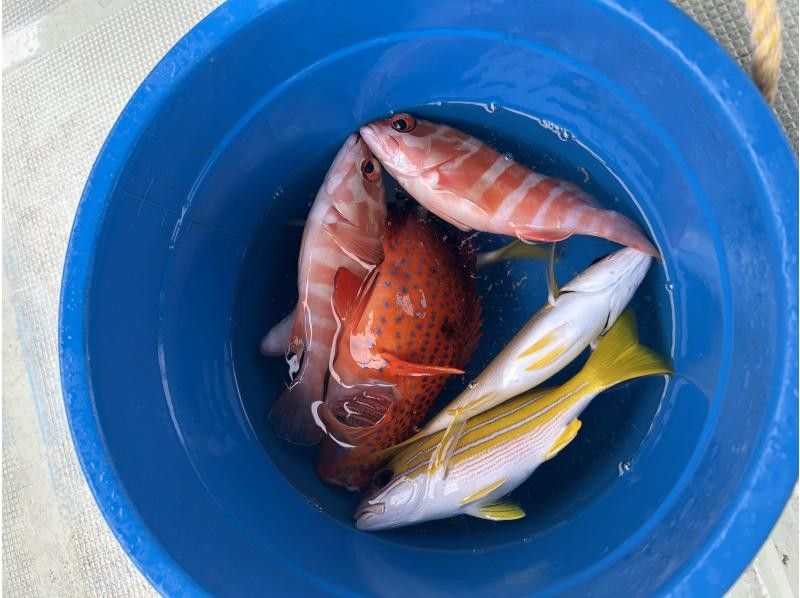 マリンサービスDORADO のギャラリー