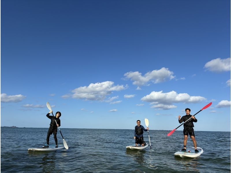 まるまりん のギャラリー