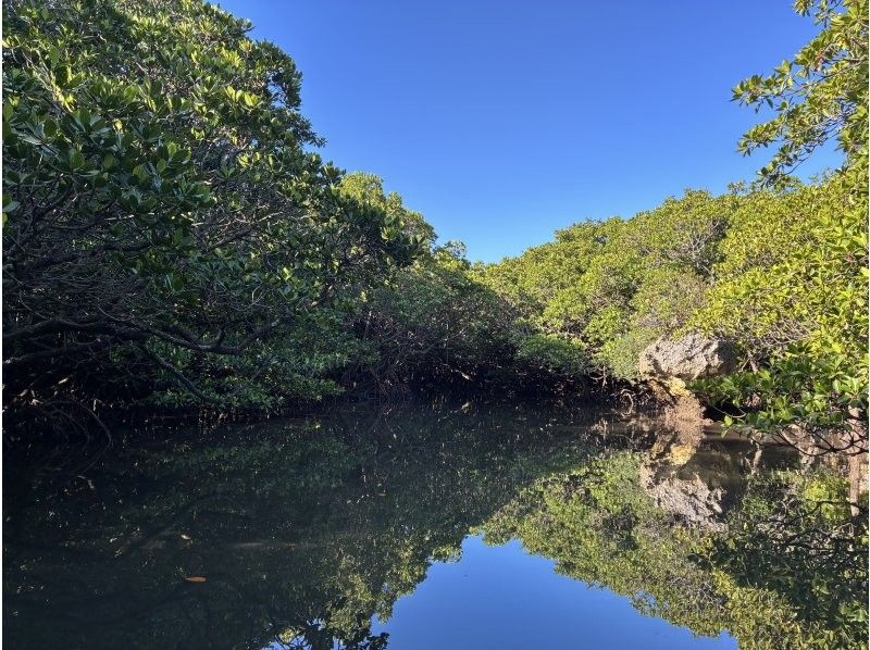 まるまりん のギャラリー