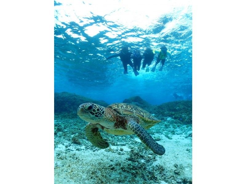 Nami宮古島 のギャラリー