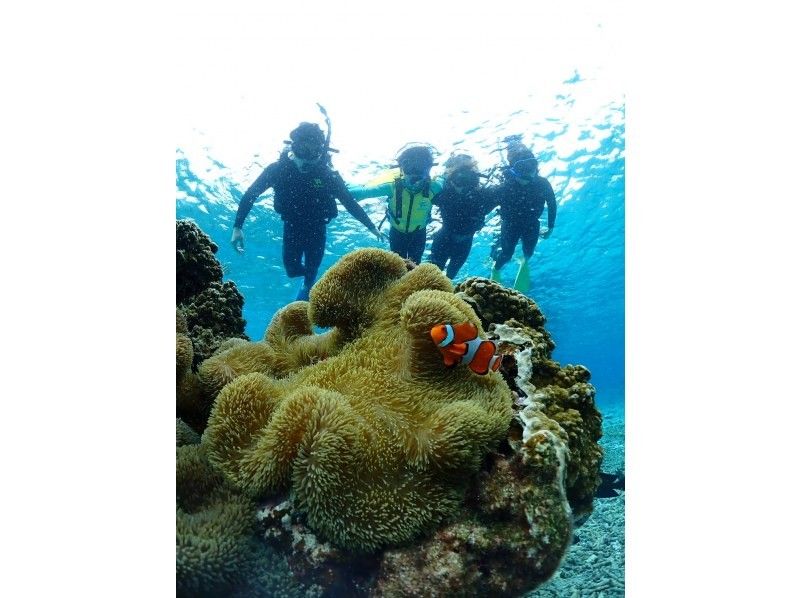 Nami宮古島 のギャラリー