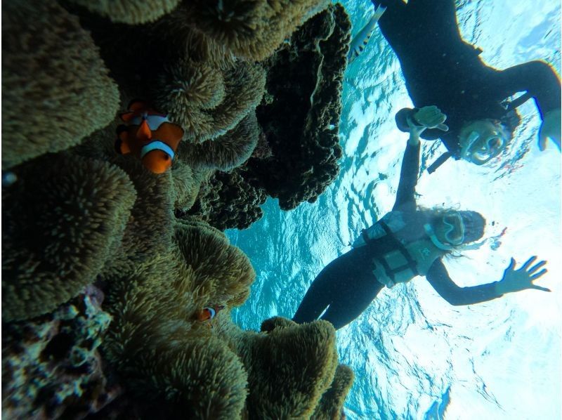 SUNDOGS のギャラリー