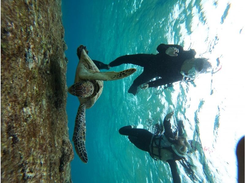 SUNDOGS のギャラリー