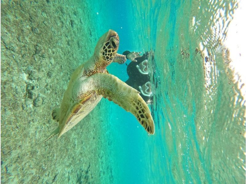 SUNDOGS のギャラリー