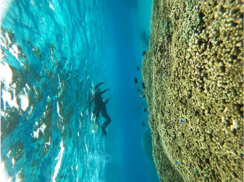 SUNDOGS のギャラリー