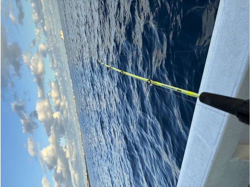 マリンサービスDORADO のギャラリー