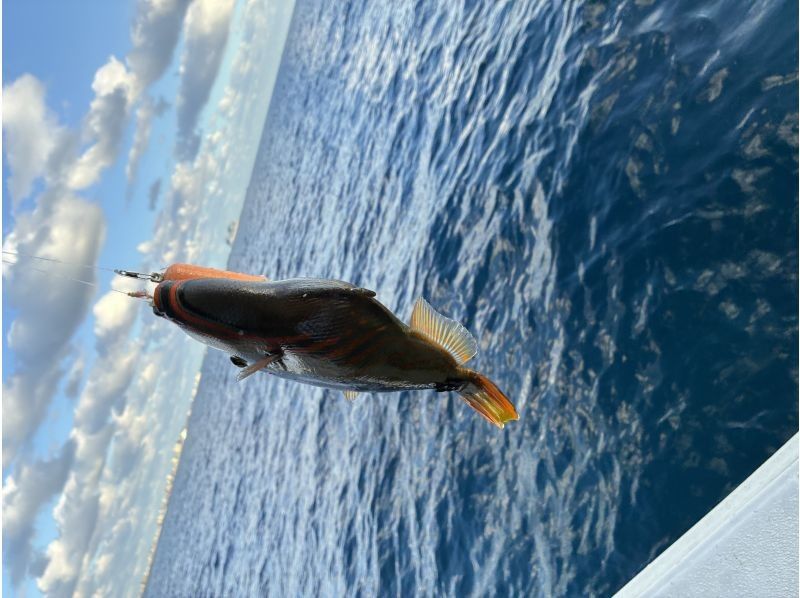 マリンサービスDORADO のギャラリー