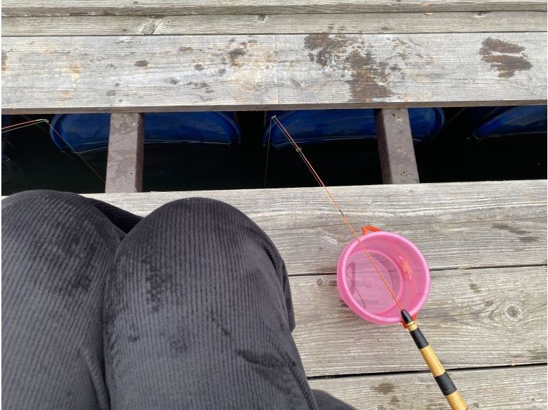 大沼遊船 のギャラリー