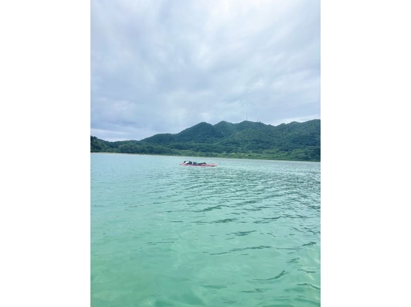 石垣島　ウミガメシュノーケル　マリンショップHAPPY のギャラリー