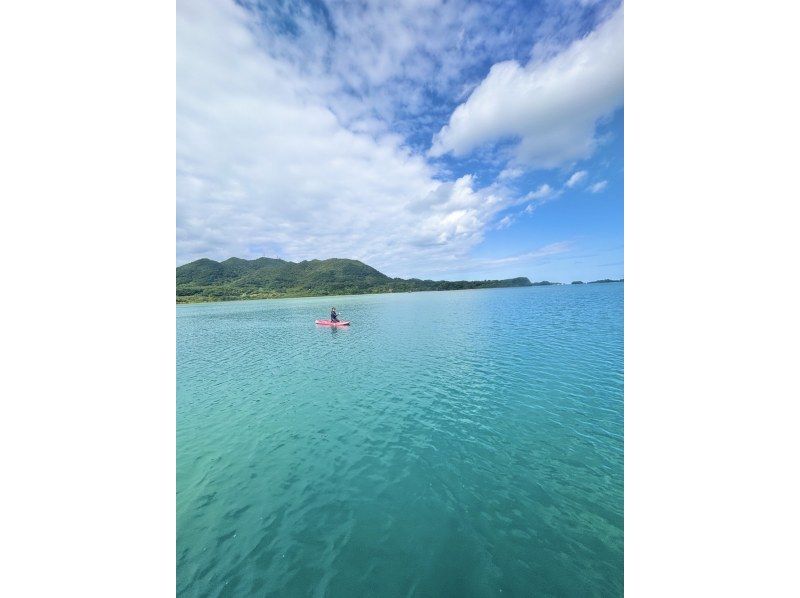 石垣島　ウミガメシュノーケル　マリンショップHAPPY のギャラリー