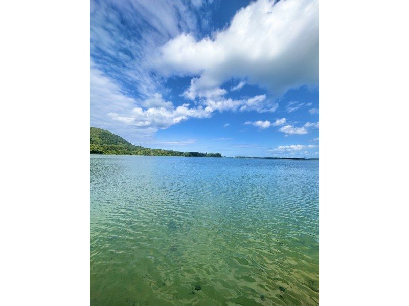 石垣島　ウミガメシュノーケル　マリンショップHAPPY のギャラリー