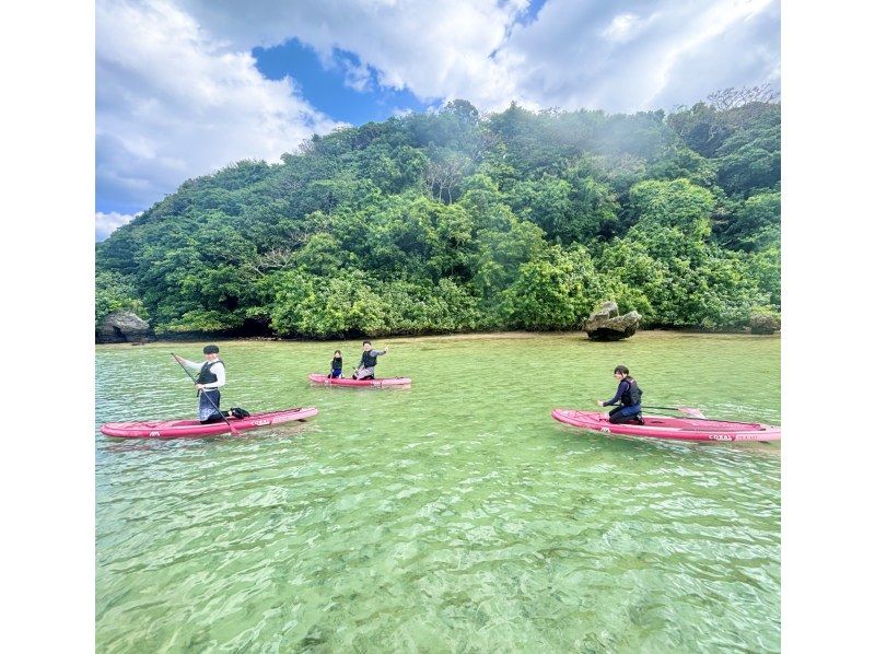 石垣島　ウミガメシュノーケル　マリンショップHAPPY のギャラリー