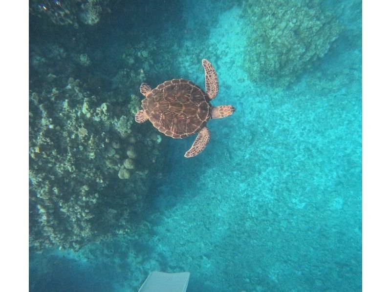 マーレ石垣島 のギャラリー