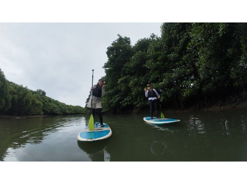 石垣島  ADVENTURE PiPi（ピピ） のギャラリー