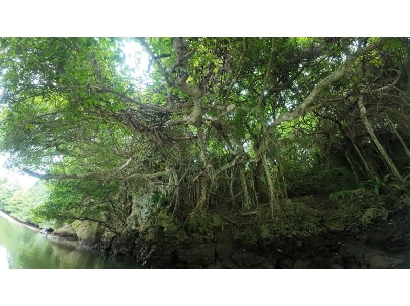 石垣島  ADVENTURE PiPi（ピピ） のギャラリー