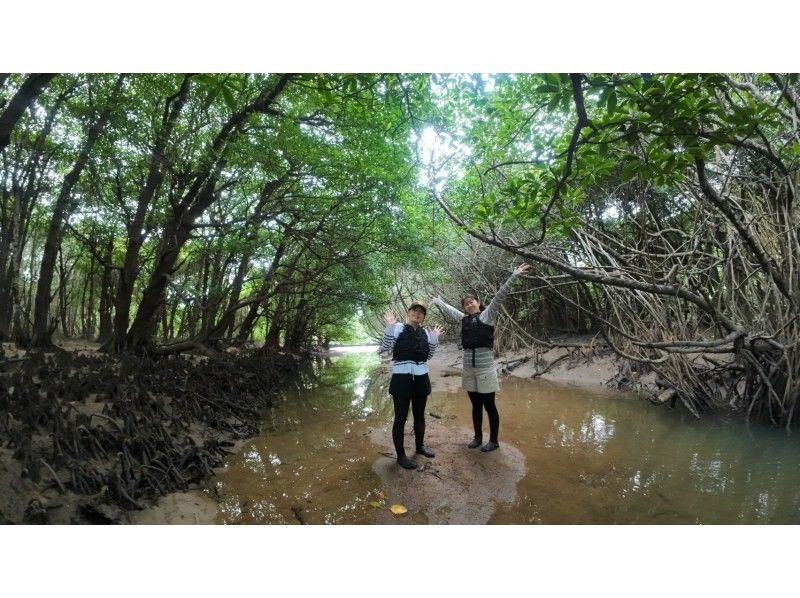 石垣島  ADVENTURE PiPi（ピピ） のギャラリー