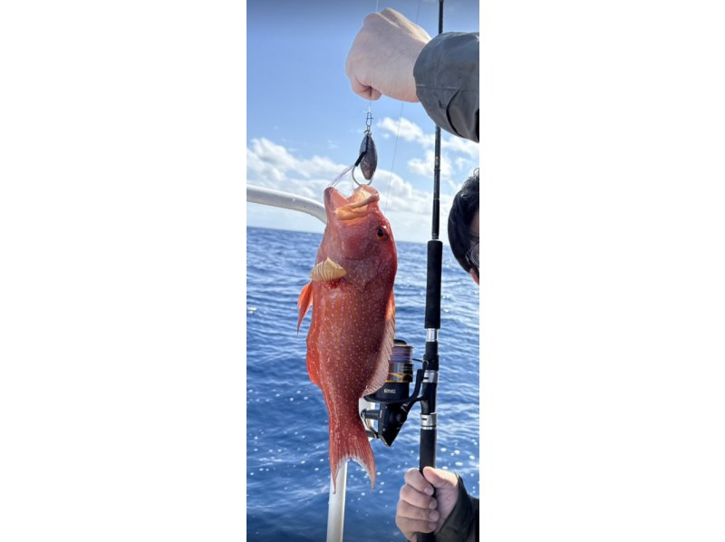 DSF石垣島 のギャラリー