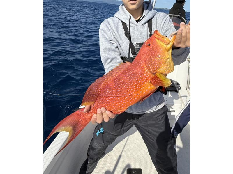 DSF石垣島 のギャラリー