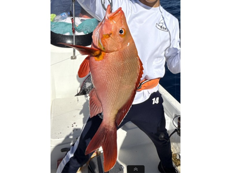 DSF石垣島 のギャラリー