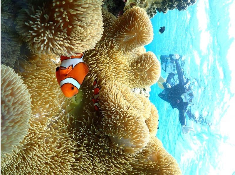 宮古島マリンショップSmiley のギャラリー